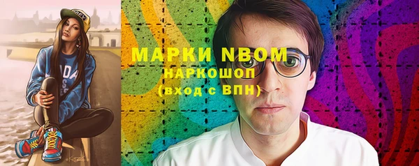 сатива Костерёво